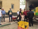 اخبار اتاق اصناف شهرستان پاکدشت 