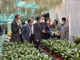 گزارش تصویری بازدید معاون عمرانی وزیر کشور از یک مجموعه تولید گل و گیاه در شهرستان پاکدشت 