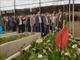 افتتاح یک واحد گلخانه صنعتی در پاکدشت با حضور استاندار تهران