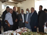 حضور معاون اجرایی رئیس جهمور و استاندار تهران در گلخانه زارعی روستای گلزار پایین