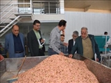 کارگروه ستاد تسهیل و رفع موانع تولید شهرستان پاکدشت به ریاست فرماندار برگزار شد