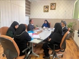  برگزاری سومین جلسه کمیته اشتغال اداره بهزیستی