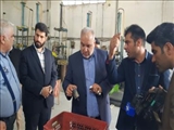 فرماندار پاکدشت از یک واحد تولیدی در خاتون آباد بازدید کرد