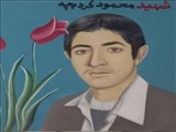 دیدار بخشدار مرکزی شهرستان پاکدشت با خانواده شهید محمود کردبچه روستای ارمبویه