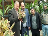 نشست هم اندیشی مسئولان به منظور عرضه مستقیم گل و گیاه پاکدشت در شهر تهران برگزار شد