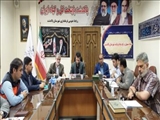 جلسه کارگروه ستاد تسهیل و رفع موانع تولید
