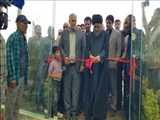 افتتاح یک واحد تولیدی گل شاخه بریده در روستای فیلستان