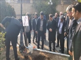 پویش درختکاری به نام پدر در شهرستان پاکدشت