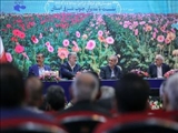 گزارش تصویری نشست رئیس جمهور با مدیران جنوبشرق استان تهران