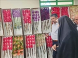 اهدای ٣۵٠ هزار شاخه گل توسط گلگاران پاکدشتی به حرم مطهر رضوی