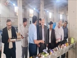 بازدید معاون فرماندار پاکدشت از کارخانه تولید کفش شیما در راستای حمایت از سرمایه‌گذاران