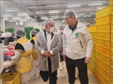 عزم جدی مسئولان برای حمایت از فعالان اقتصادی در پاکدشت