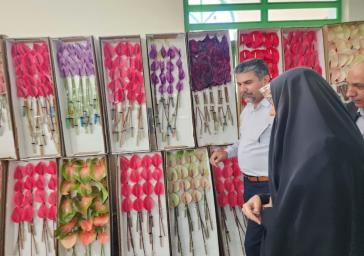 اهدای ٣۵٠ هزار شاخه گل توسط گلگاران پاکدشتی به حرم مطهر رضوی